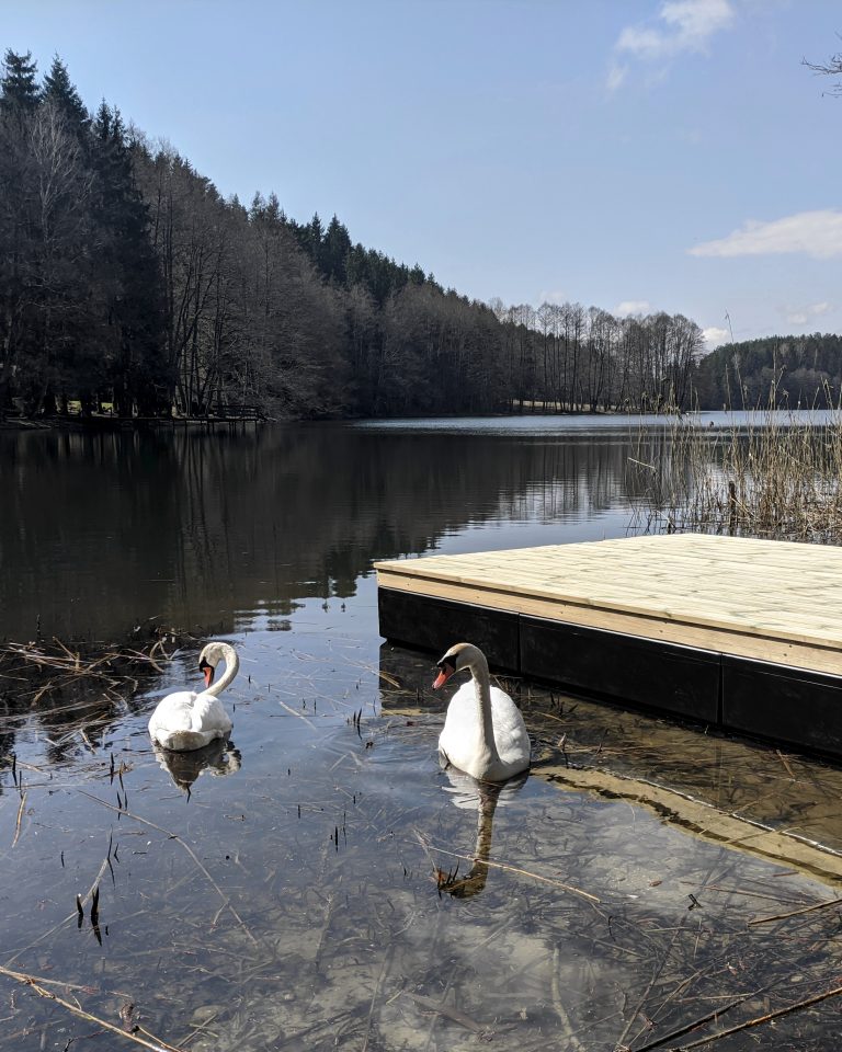 Vakuuminiu (giluminiu) būdu impregnuota mediena. Kas tai?